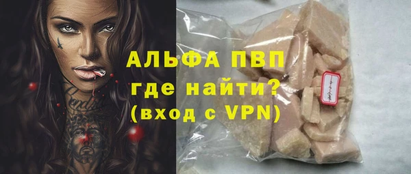 сатива Вяземский