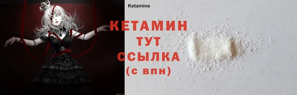 сатива Вяземский