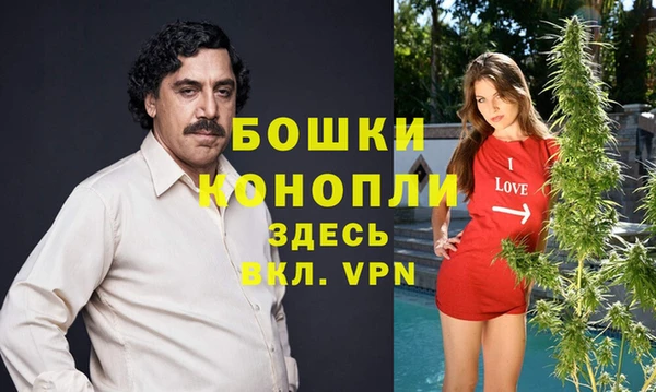 сатива Вяземский