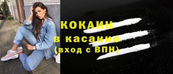 сатива Вяземский