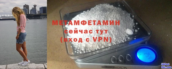сатива Вяземский