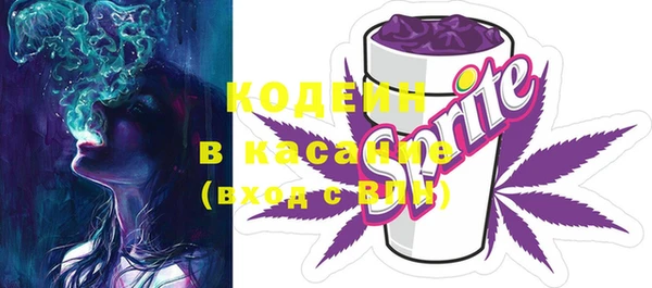 сатива Вяземский