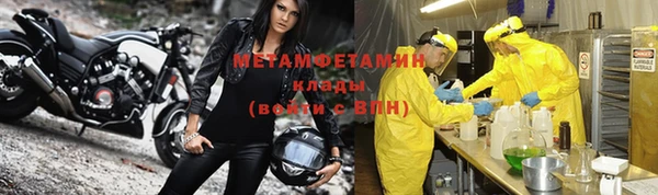 сатива Вяземский